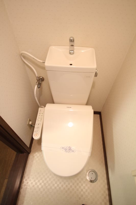 チェリーブロッサム その他2