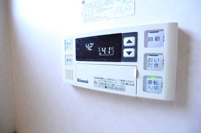 パインセピア その他10