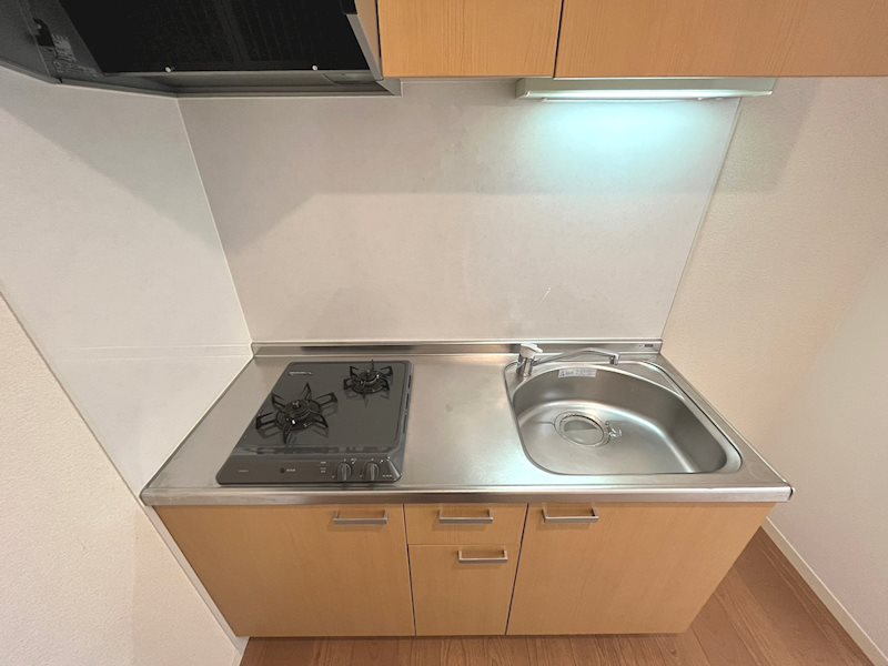 ツェルコーヴァ その他8