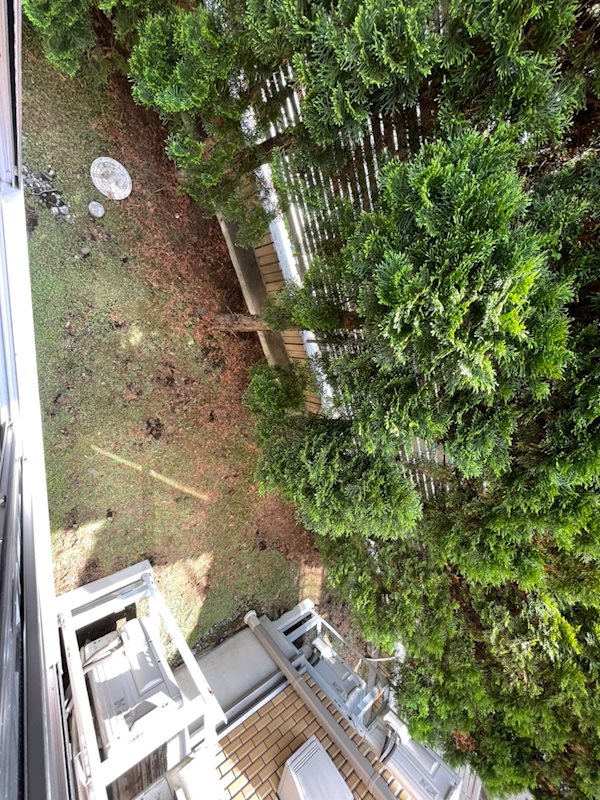 ステラーⅠ  その他6