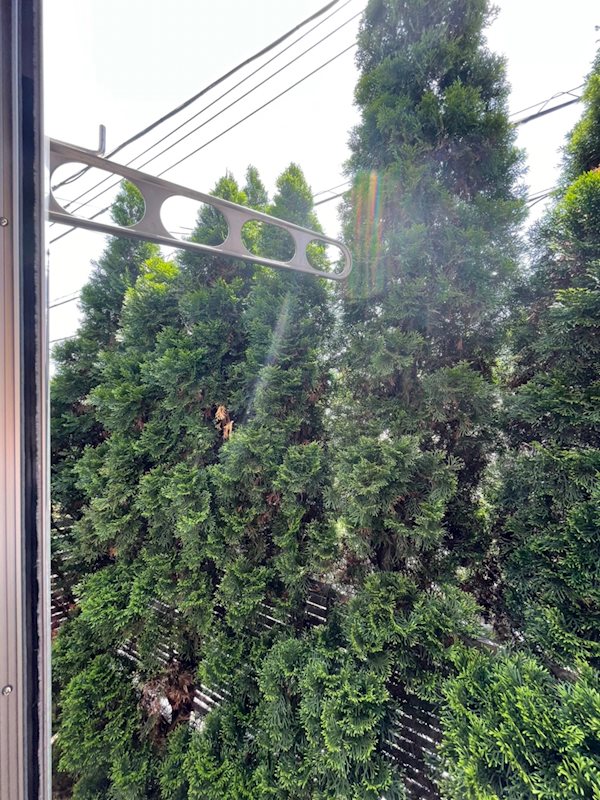 ステラーⅠ  その他9