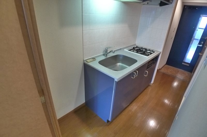 フェニックス高円寺壱番館 その他9