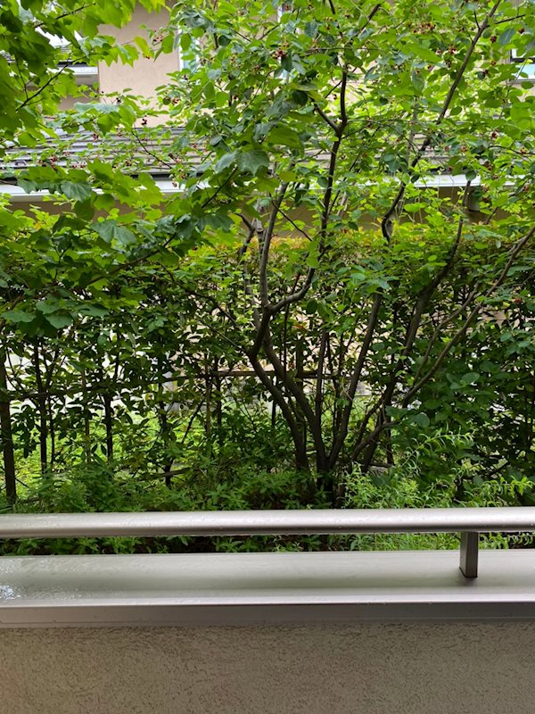 ＧｒａｎｄＶｅｒｔ　（グランヴェール） ベランダ