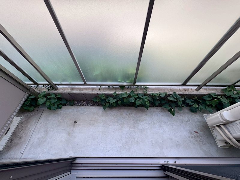 PALM SPLINGS三鷹 ベランダ