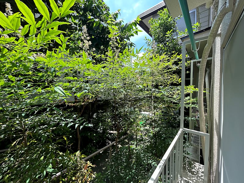 ピレア高円寺 その他5