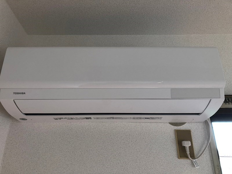 フラットハナタキ その他1