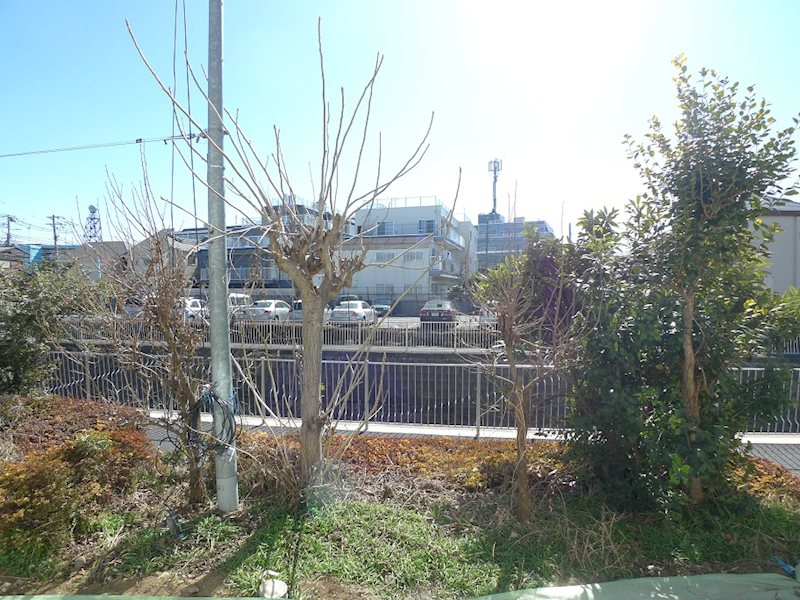 ロッテンハイム その他7