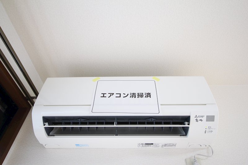 ゼルコバ その他3