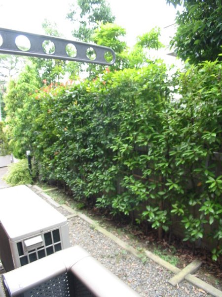 OAK SHIMOKITAZAWA（オーク下北沢） ベランダ