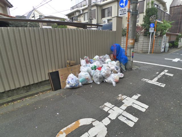 カメリア その他外観1