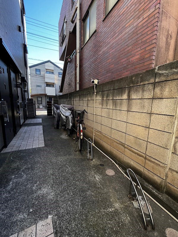 カタム白眞 その他外観2