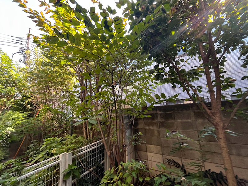 Maison D その他6