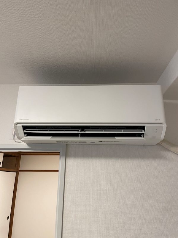 ホワイトパイン その他3
