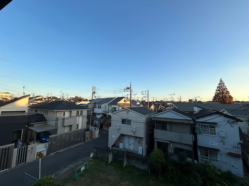 ホワイトパイン その他7