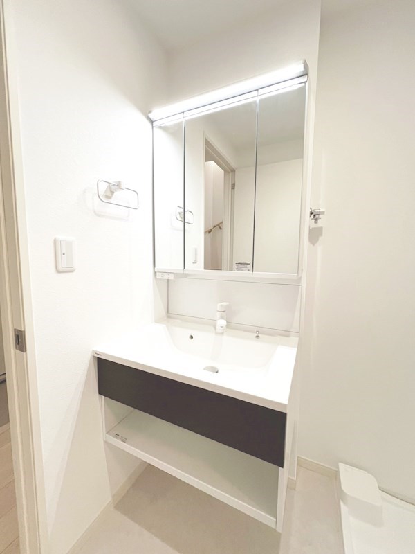 アルストロメリア その他3