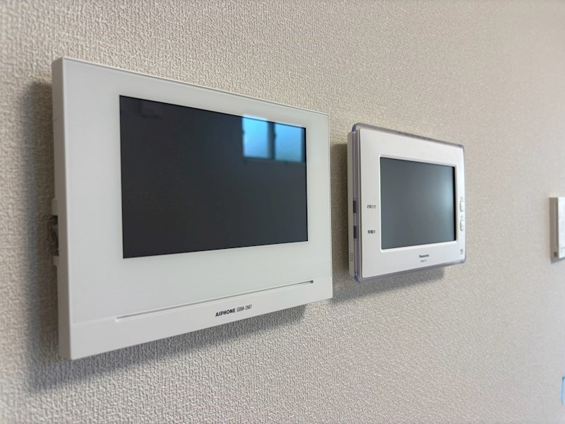 扇（オオギ） その他6