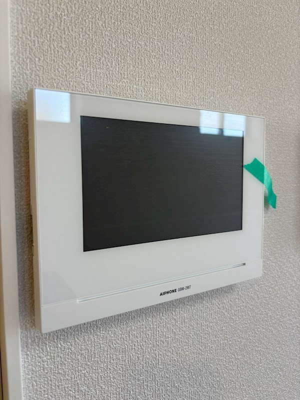 扇（オオギ） その他3