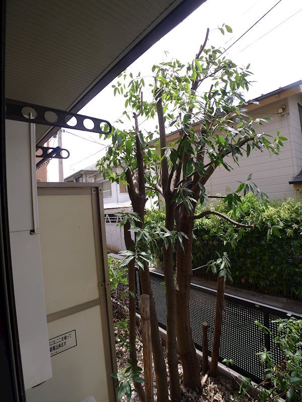 フォレスト高円寺 その他7