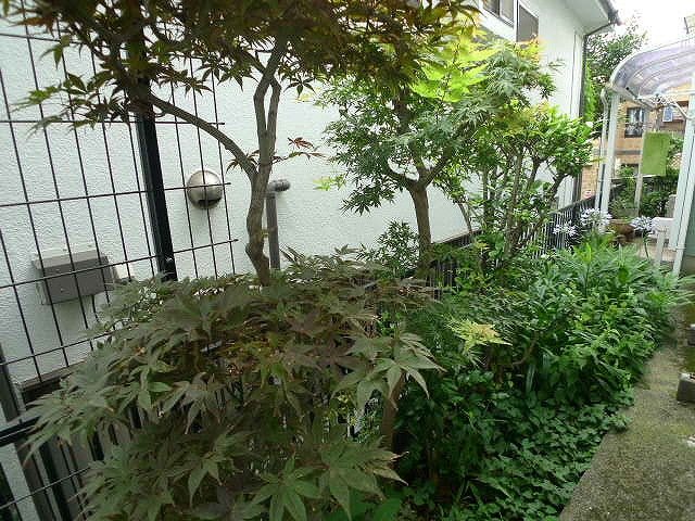 グリーンハイム その他6