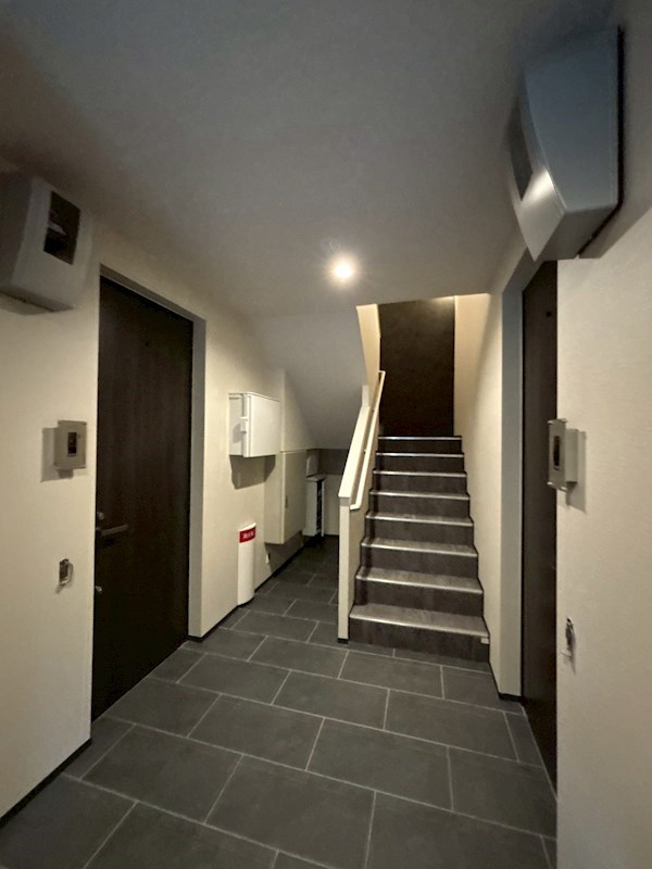 Ｍａｉｓｏｎ　ｄｅ　Ｃｅｒｉｓｉｅｒ その他7