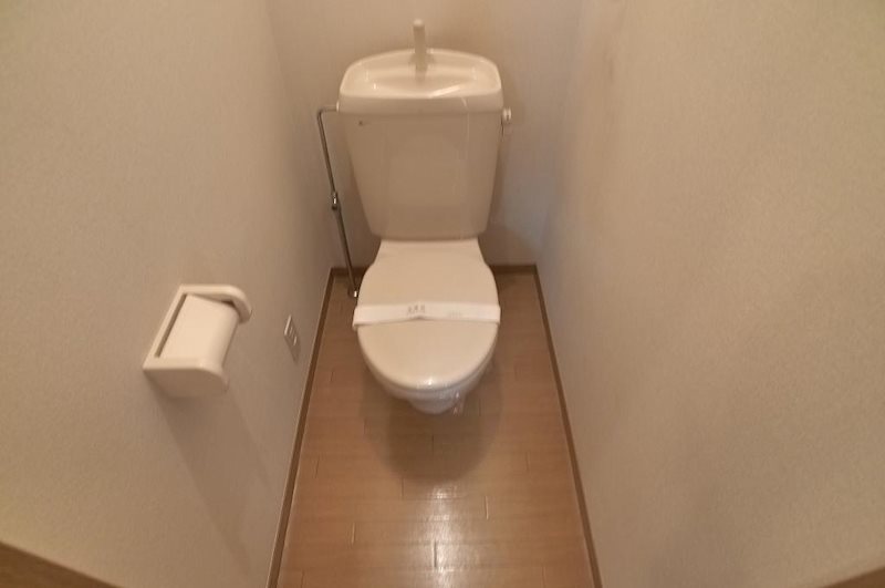 パインアレイ その他2