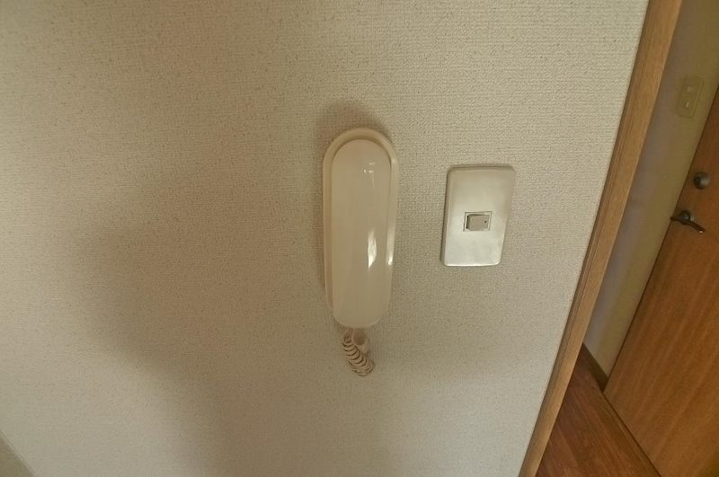 パインアレイ その他5