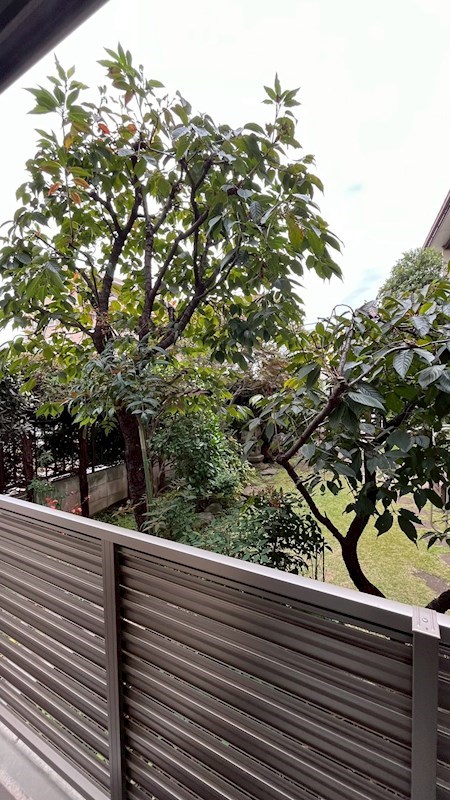 Ｍメゾン その他5