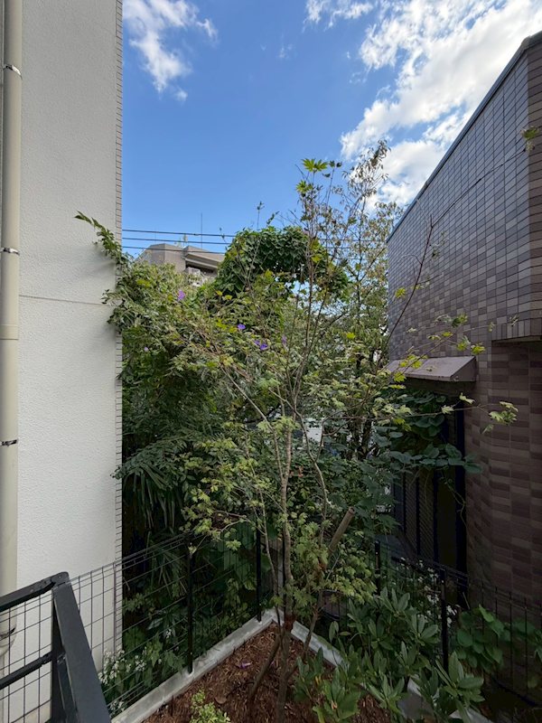 Ｎａｎａｌａ(ナナラ) その他15