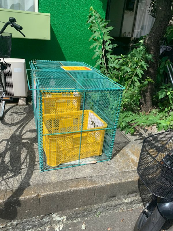 メゾンヴェルト その他外観3