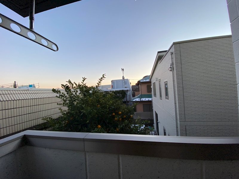 ゼルコバ　ヒルズ その他15