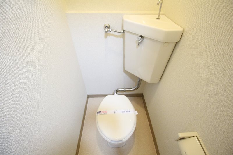 ハイムカメリア その他1