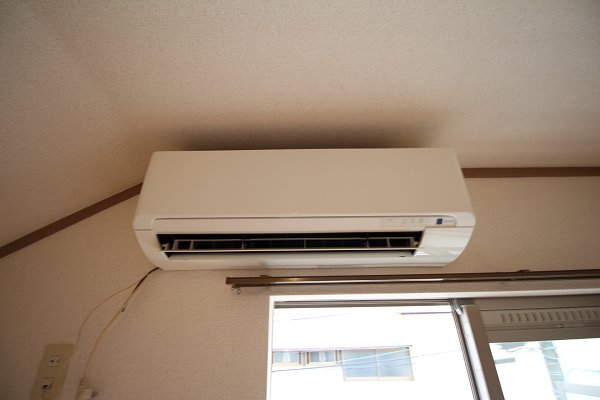 ハイムカメリア その他2