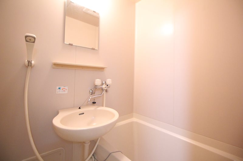 ハイムカメリア その他3