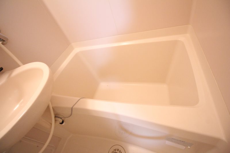 ハイムカメリア その他10