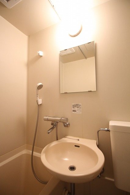 ヴォーンツインマーシャイン その他2