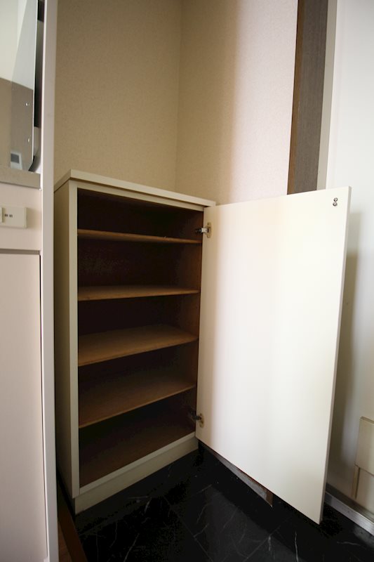 ヴォーンツインマーシャイン その他5