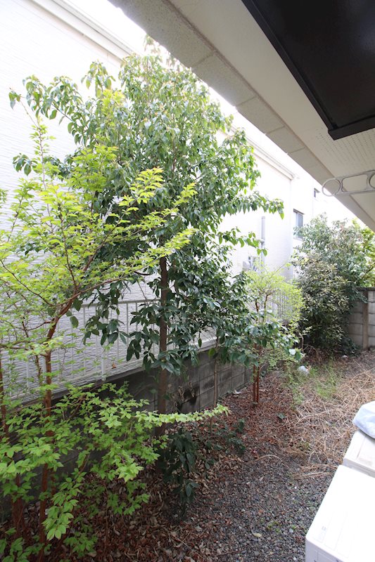 ヴォーンツインマーシャイン ベランダ