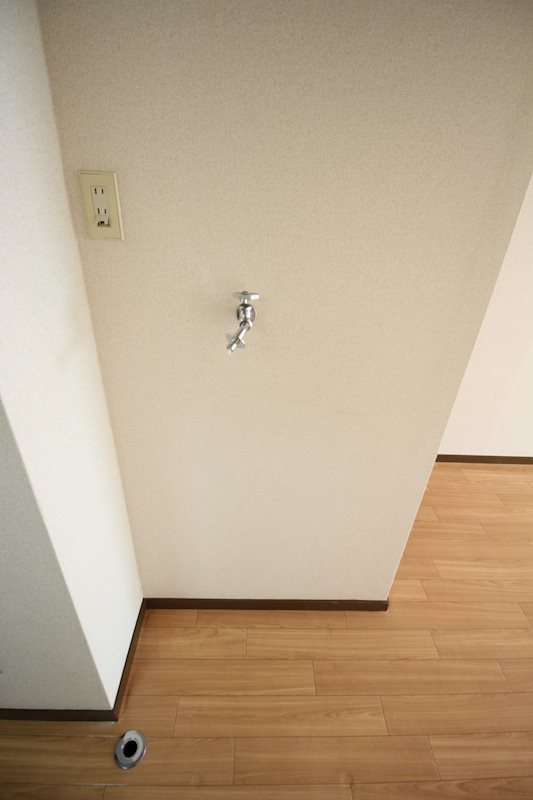 ヴォーンツインマーシャイン その他7