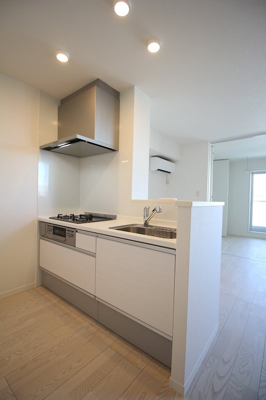 The Village Ⅲ（ザ　ヴィレッジ） キッチン