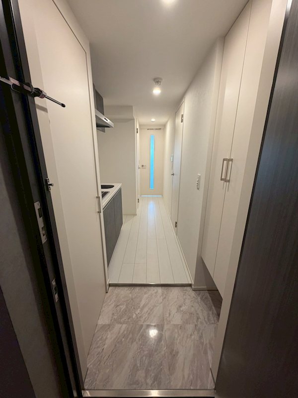 アトリオフラッツ高円寺 玄関