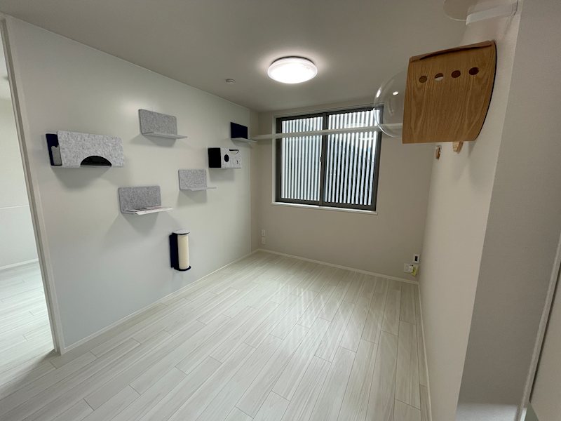 Ｅｘｉｏｎ（エクシオン） その他4