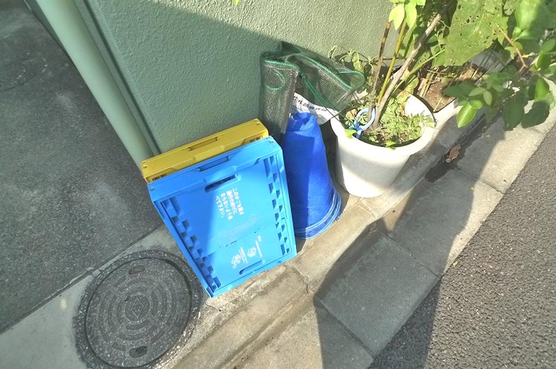 メゾンアルブレ その他11