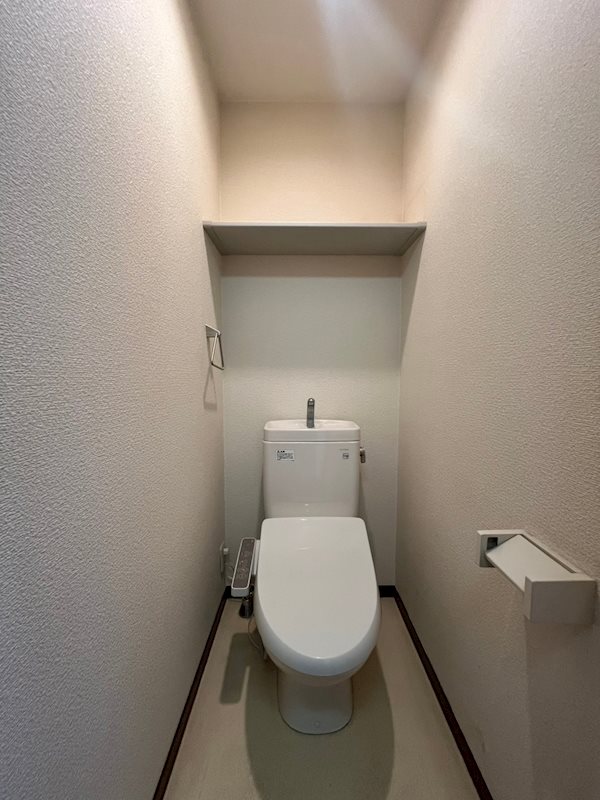 ドルフＫ・Ｙ その他1