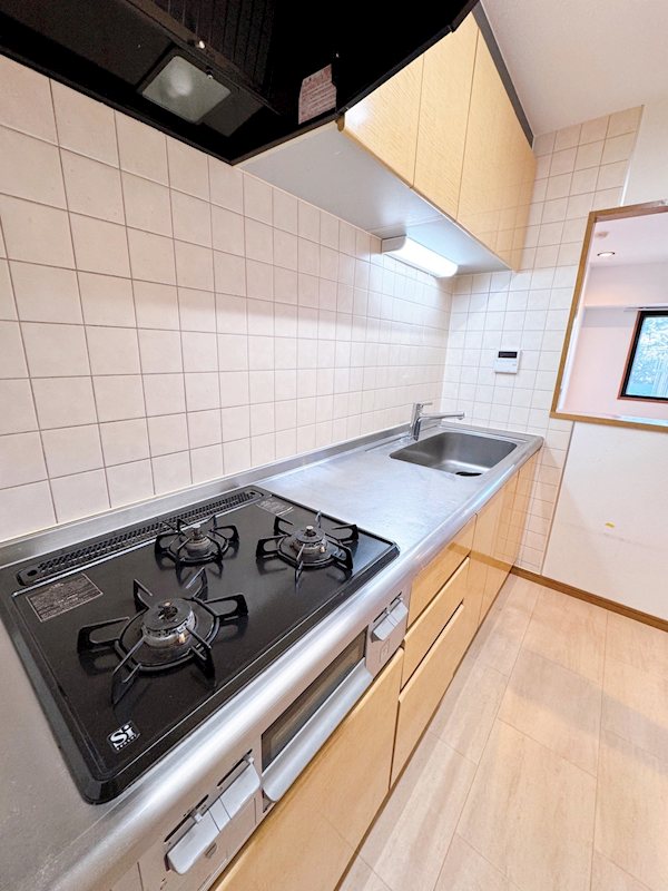 コートエバーグリーン その他6