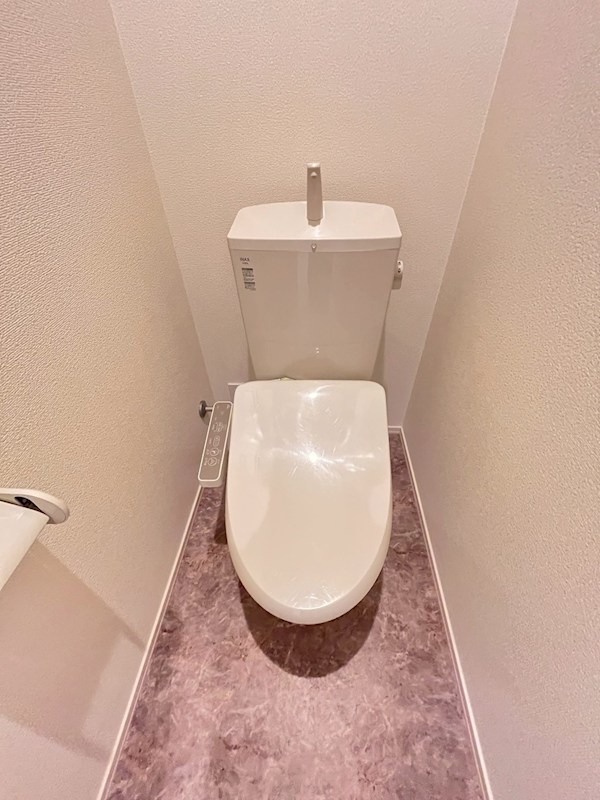 ヴィオリラⅡ その他1