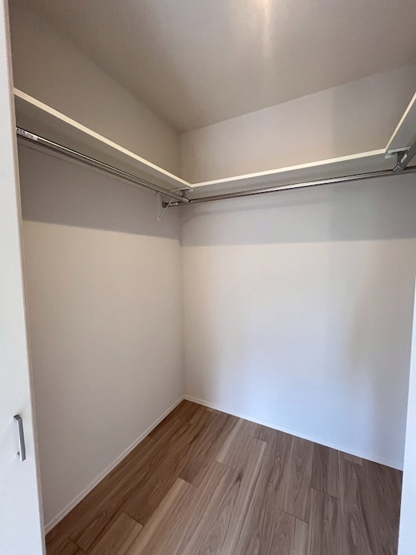 ヴィオリラⅡ その他3