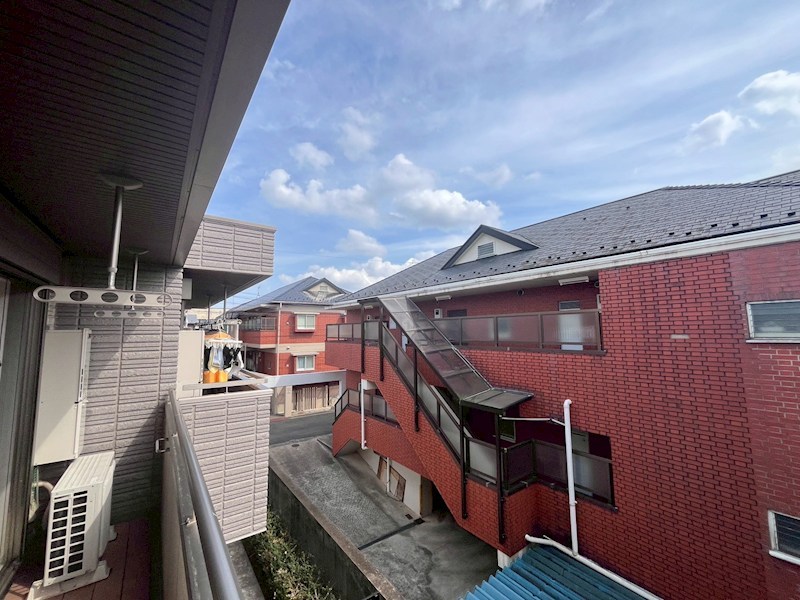 ヴィオリラⅡ その他4