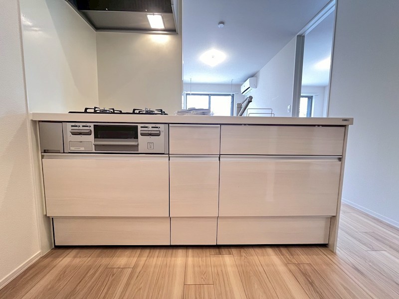 ヴィオリラⅡ その他10