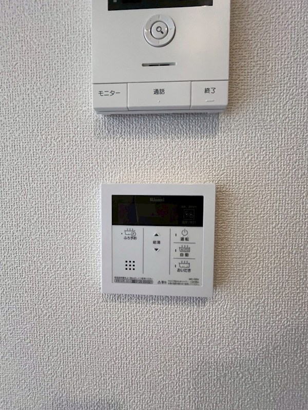 ヴィオリラⅡ その他13