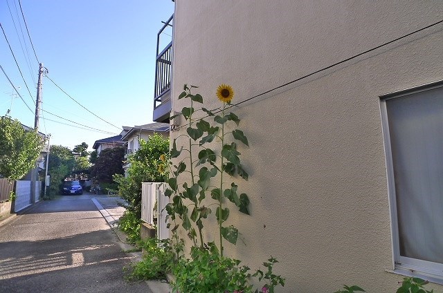 ポプラ館 その他8
